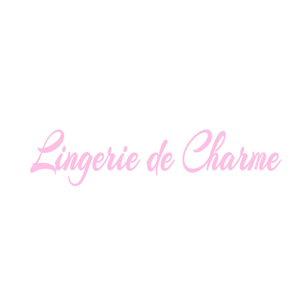 LINGERIE DE CHARME COURNON-D-AUVERGNE
